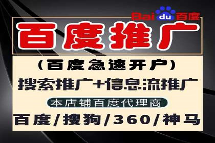 揭秘优秀SEM竞价代运营公司案例